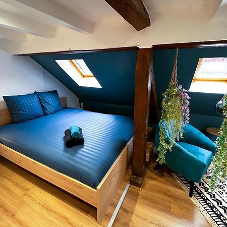 Au Duplex De Jeannala Lägenhet Sélestat Exteriör bild